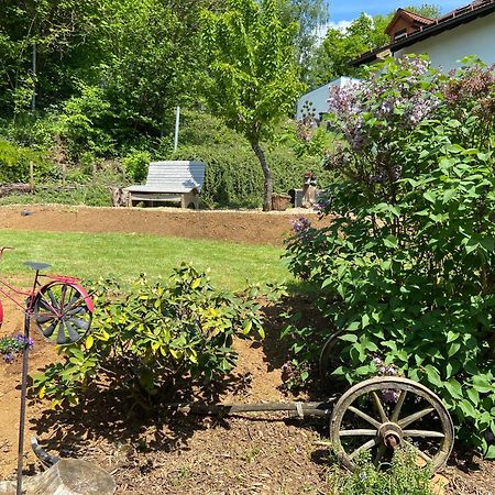 Apartmenthaus Ruhezeit Bad Endbach Eksteriør billede